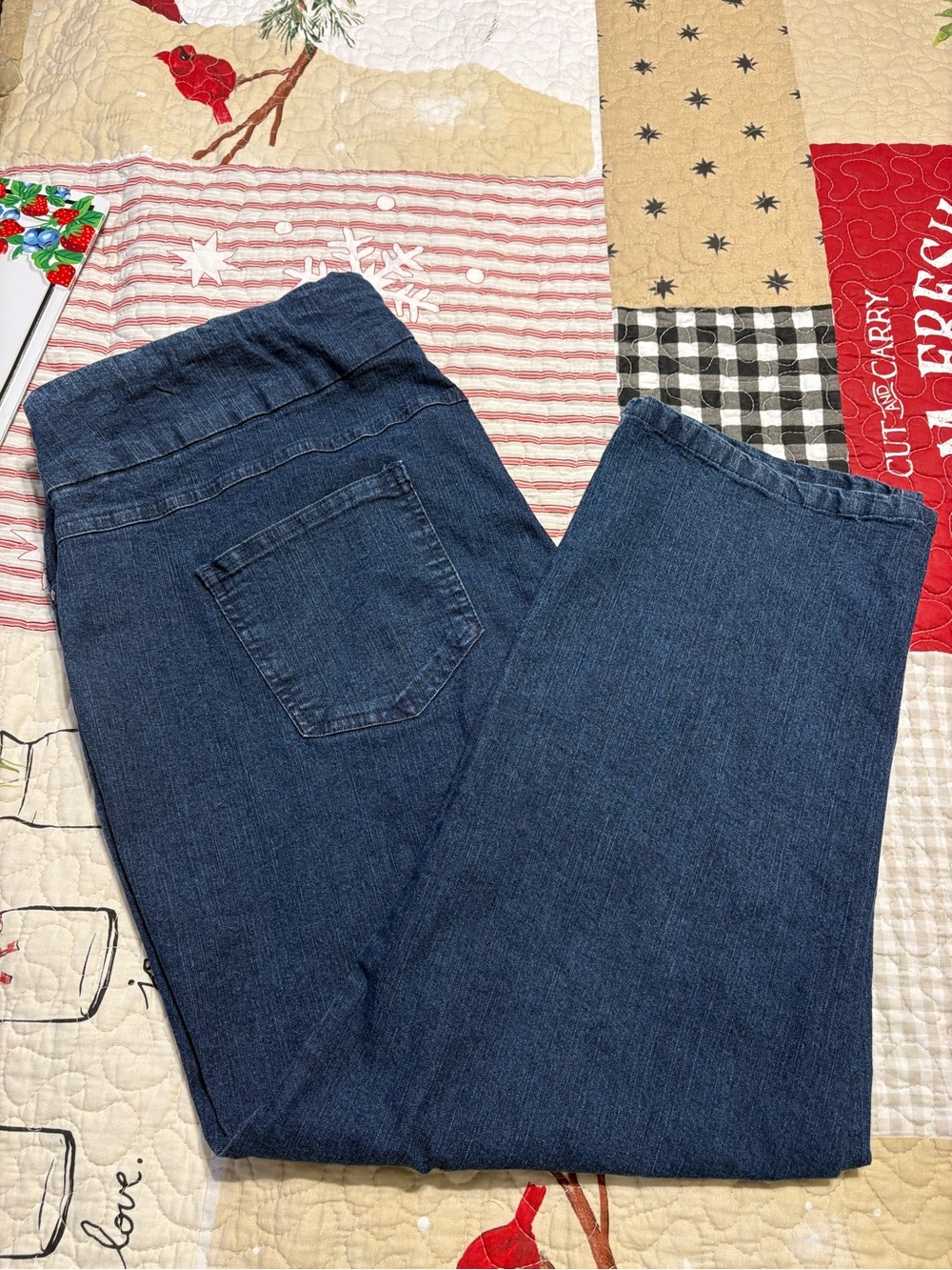 Ruby Rd. Plus Size pull on Blue Denim Jeans